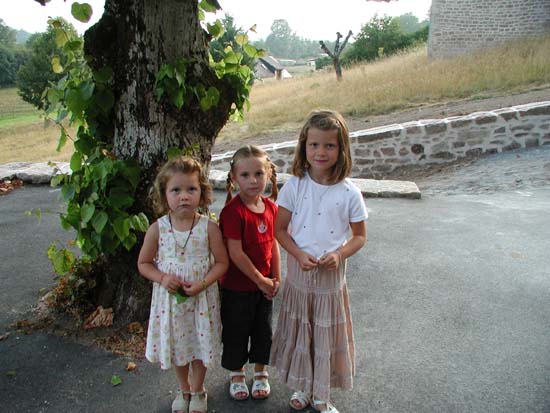 PIC00019