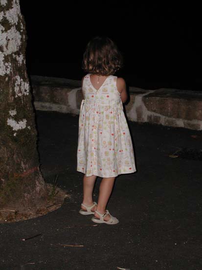 PIC00135