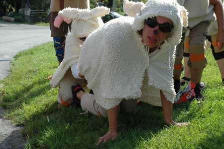 26 moutons01