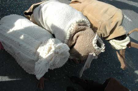 31 moutons06