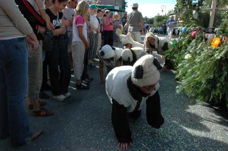 33 moutons08