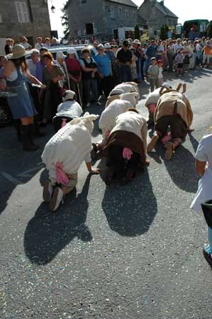 34 moutons10